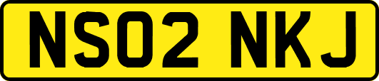 NS02NKJ