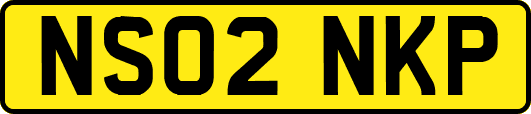 NS02NKP