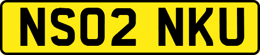 NS02NKU