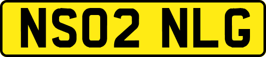 NS02NLG