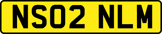 NS02NLM