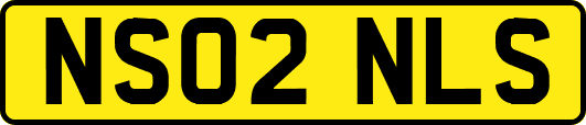 NS02NLS
