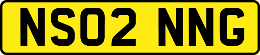 NS02NNG