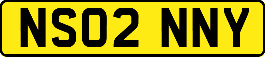 NS02NNY