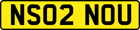 NS02NOU