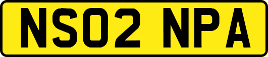 NS02NPA