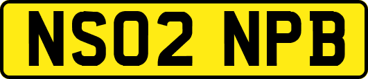NS02NPB