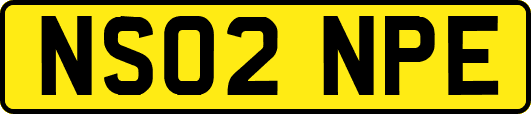 NS02NPE
