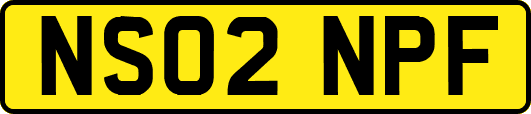 NS02NPF