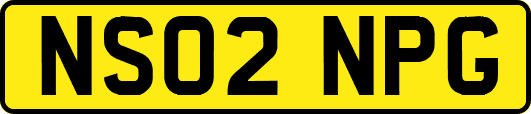 NS02NPG