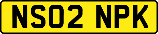 NS02NPK