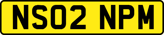 NS02NPM