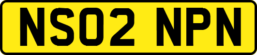 NS02NPN
