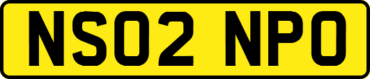 NS02NPO