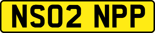 NS02NPP