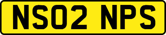 NS02NPS