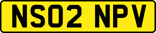 NS02NPV