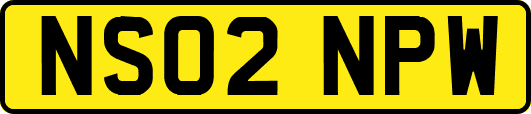 NS02NPW