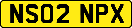 NS02NPX