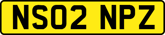 NS02NPZ