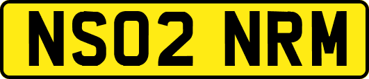 NS02NRM