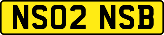 NS02NSB