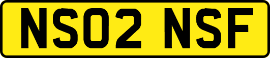 NS02NSF