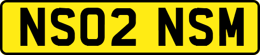 NS02NSM