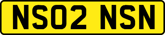 NS02NSN