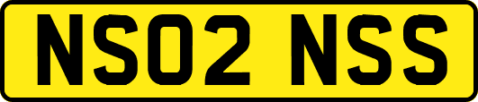 NS02NSS