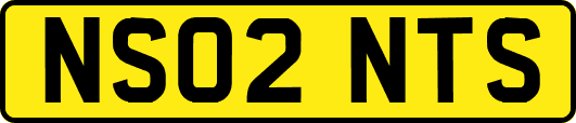 NS02NTS