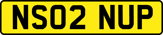 NS02NUP