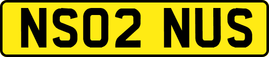 NS02NUS