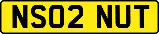 NS02NUT