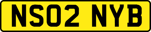 NS02NYB
