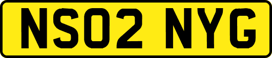 NS02NYG