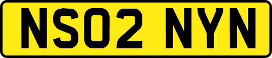 NS02NYN