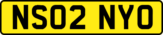 NS02NYO