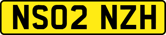 NS02NZH