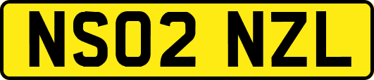 NS02NZL