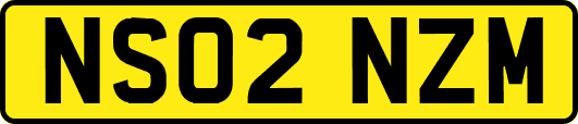 NS02NZM