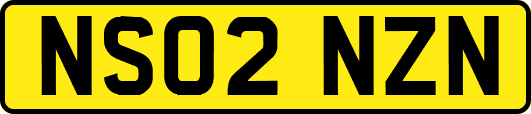 NS02NZN