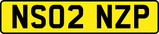 NS02NZP