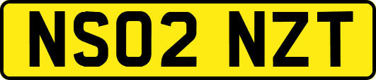 NS02NZT
