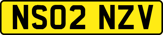 NS02NZV