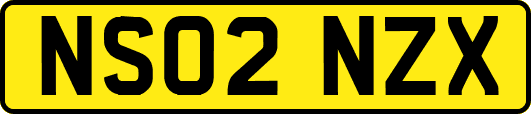 NS02NZX