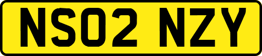 NS02NZY