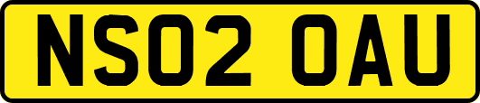 NS02OAU