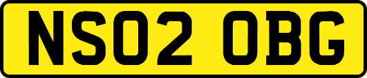 NS02OBG