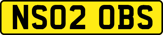 NS02OBS